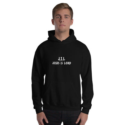 Jesus is Lord ( Not alone ) Hoodies